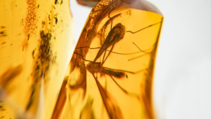 Terapia jadem pszczelim – skuteczny sposób leczenia czy igranie z ogniem?